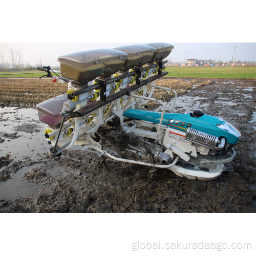 Direct Rice Seeding Machine Price high quality Rice seedling direct seeding machine Factory